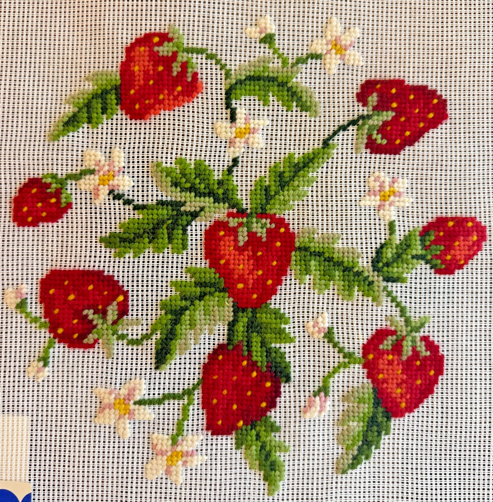 Vintage Preworked Dritz Decorator Needlepoint Canvas Strawberries Design 9" x 9"
